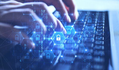 企業如何實現開發、安全、合規并存？二十年IT領域資深專家解讀網絡文化經營之道